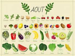 Aout