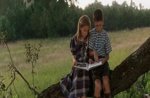 Forrest gump1