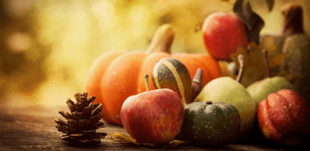 Fruits et legumes novembre