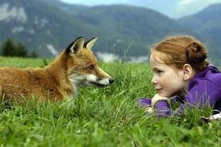 Le renard et l enfant