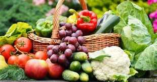 Legumes 1