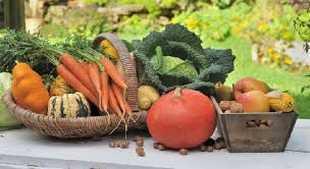 Legumes octobre
