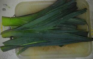 Photo0007 2
