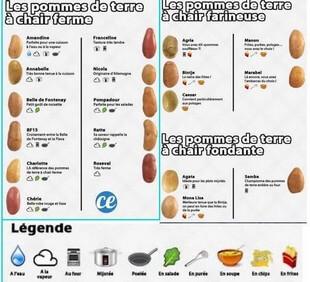 Pommes1